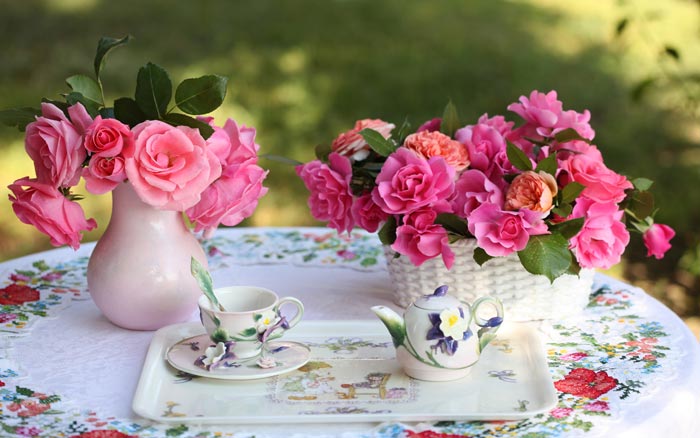 گل محمدی