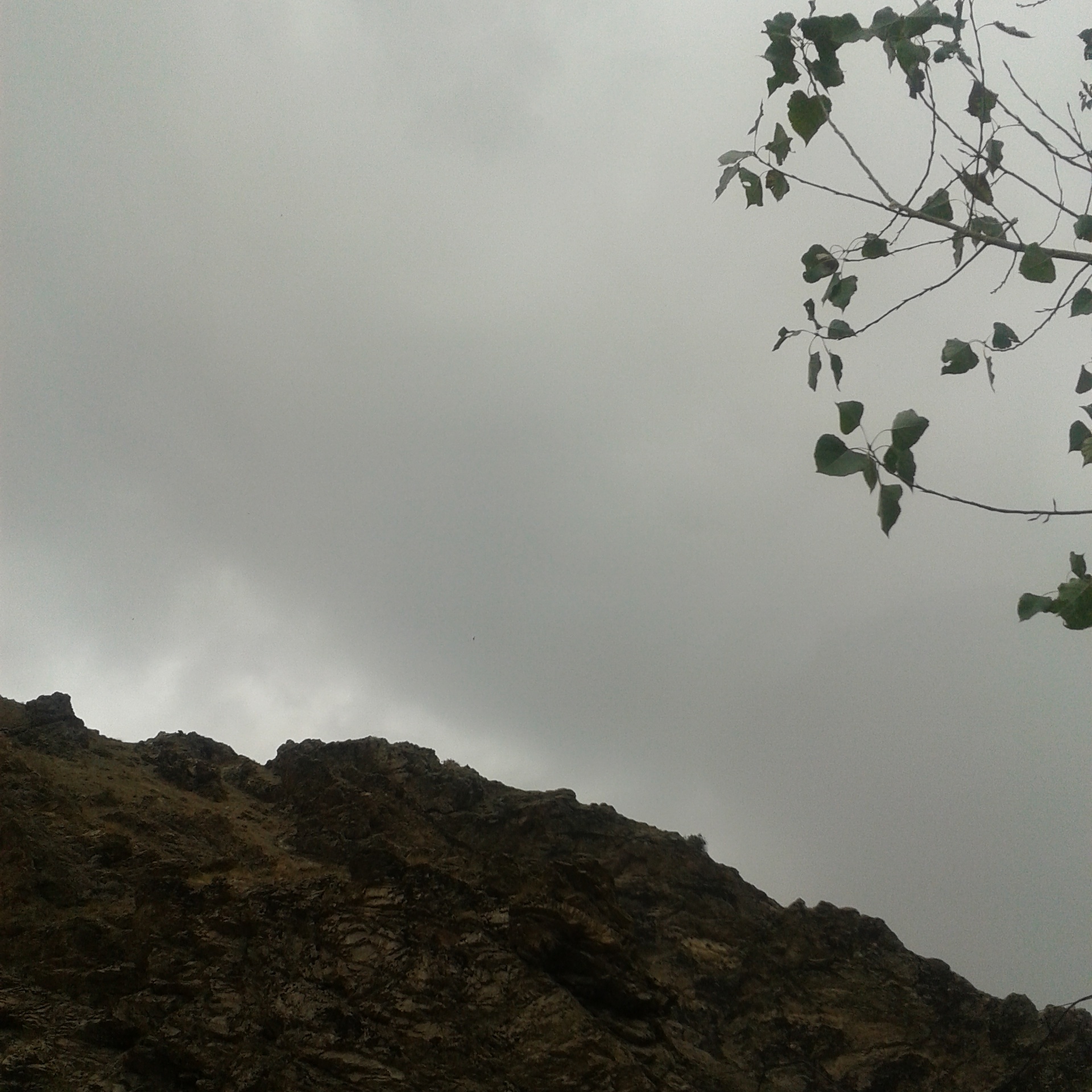 آسمان ابری و بغض دارِ دَرَکه