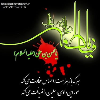 پاسخ به:دلنوشته های فاطمی