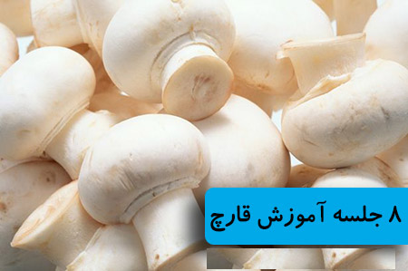 آموزش پرورش قارچ