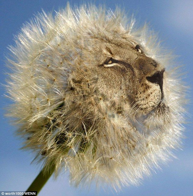 عکس های جالب فتوشاپی