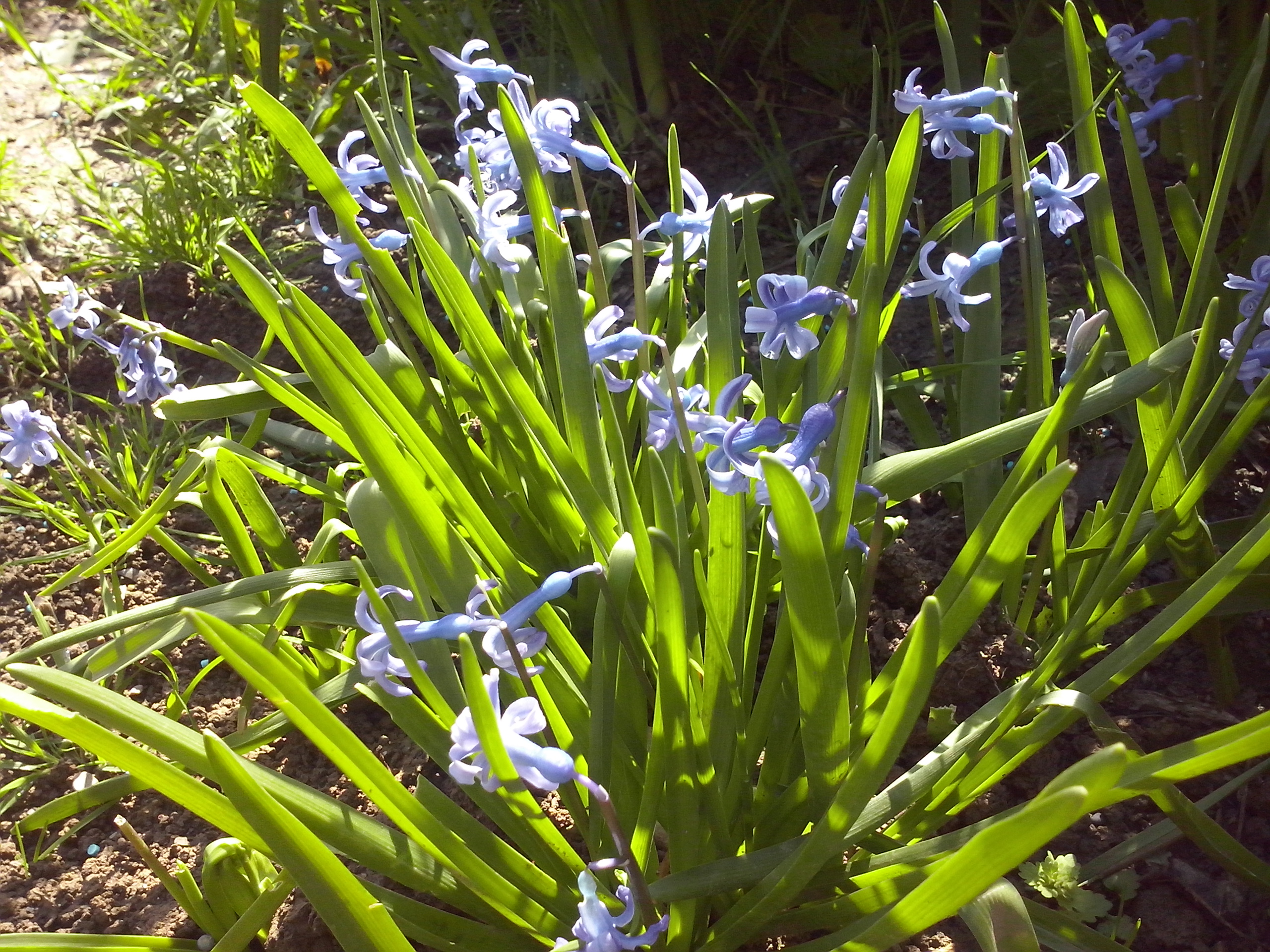 CAM00832.jpg