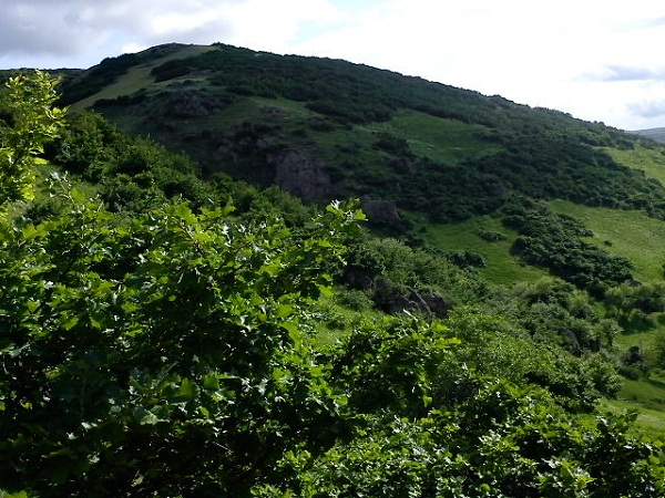 حور