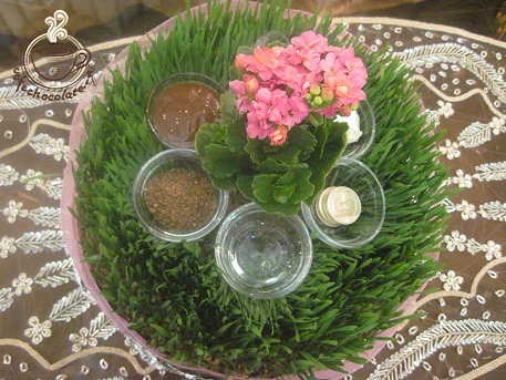 http://s6.picofile.com/file/8180799918/IMG_0322.JPG
