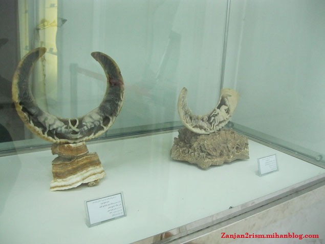 عمارت دارایی زنجان