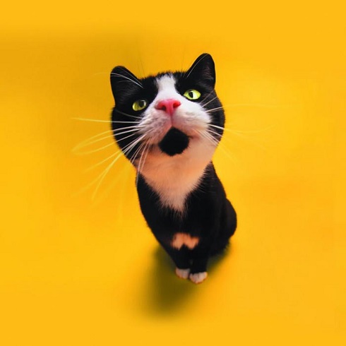 http://s6.picofile.com/file/8183053600/mw4zgv2sbsvqwdxu9dmn.jpg