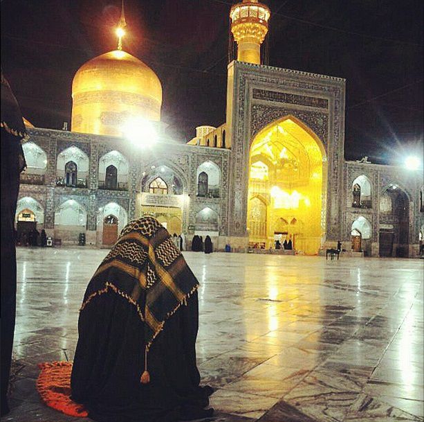 پاسخ به:اینجا همه چیز عالیه!!