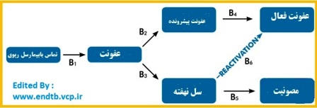 سل post-primary