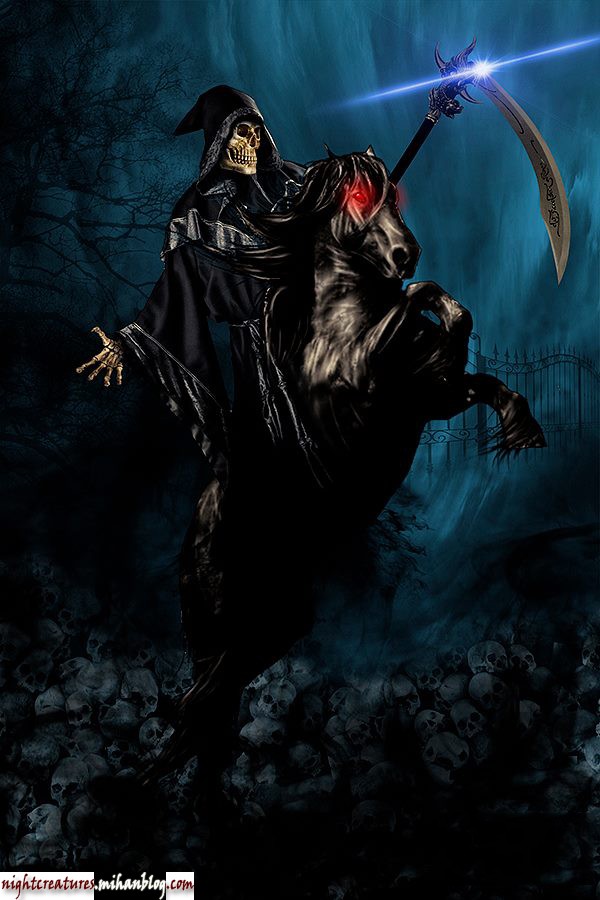 عکس_و_والپیپر_اسکلت_فانتزی_www_nightcreatures_mihanblog_com54.jpg (600×900)
