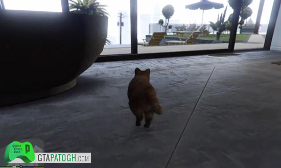 ترینر جدید برای GTA V که با آن میتوانید در نقش همه چیز بازی کنید