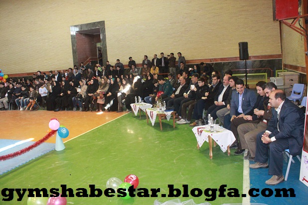 ژیمناستیک شبستر