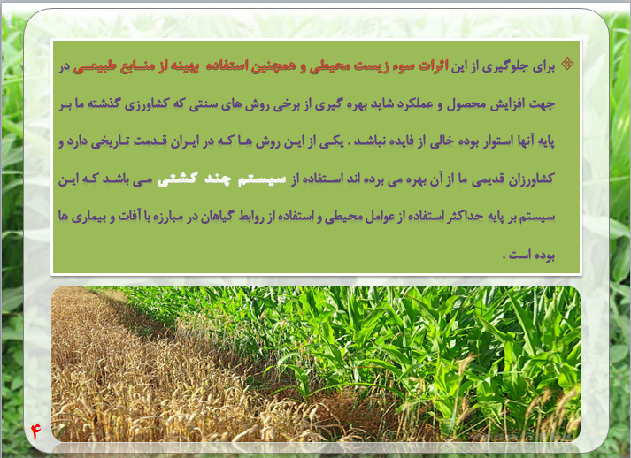 کشت مخلوط