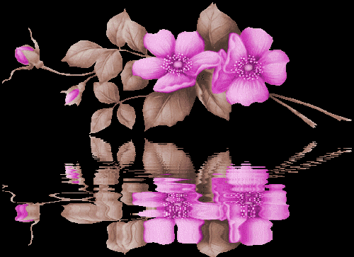 http://s6.picofile.com/file/8185494342/13663093335.gif