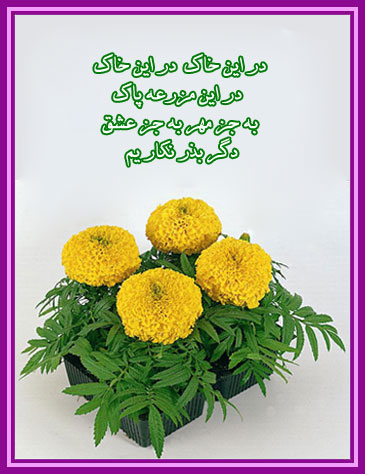 http://s6.picofile.com/file/8185945826/033t.jpg