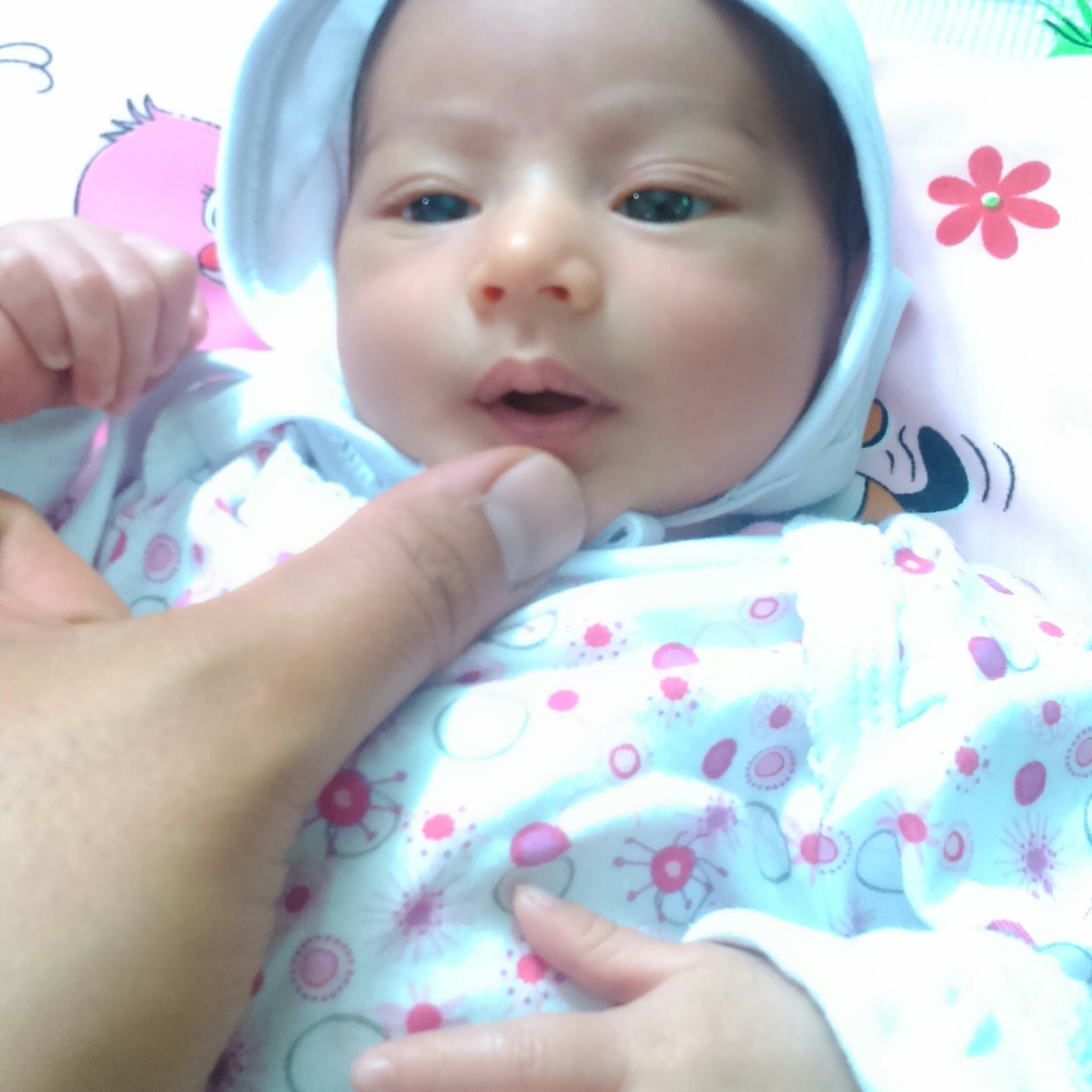 ملودی