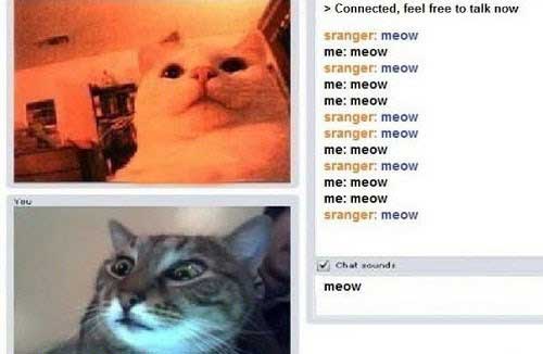 IMAGE(http://s6.picofile.com/file/8187391218/0_087823001396178282_parsnaz_ir.jpg)
