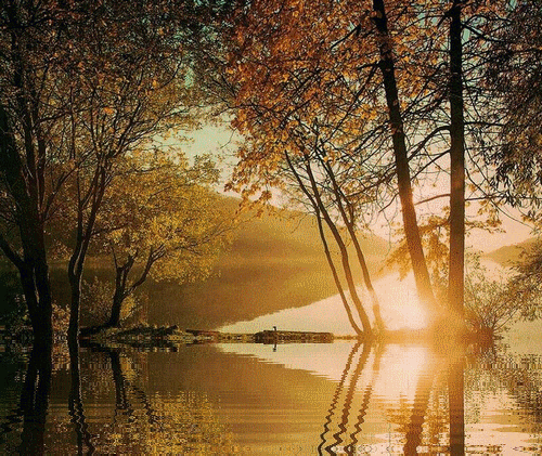 http://s6.picofile.com/file/8187605518/Copy_of_18513168242545585451.gif
