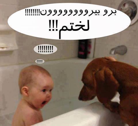 [عکس: Funny_Baby_and_Dogs.jpg]