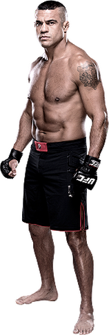 ))> پیش نمایش UFC 187 : Johnson vs. Cormier <((