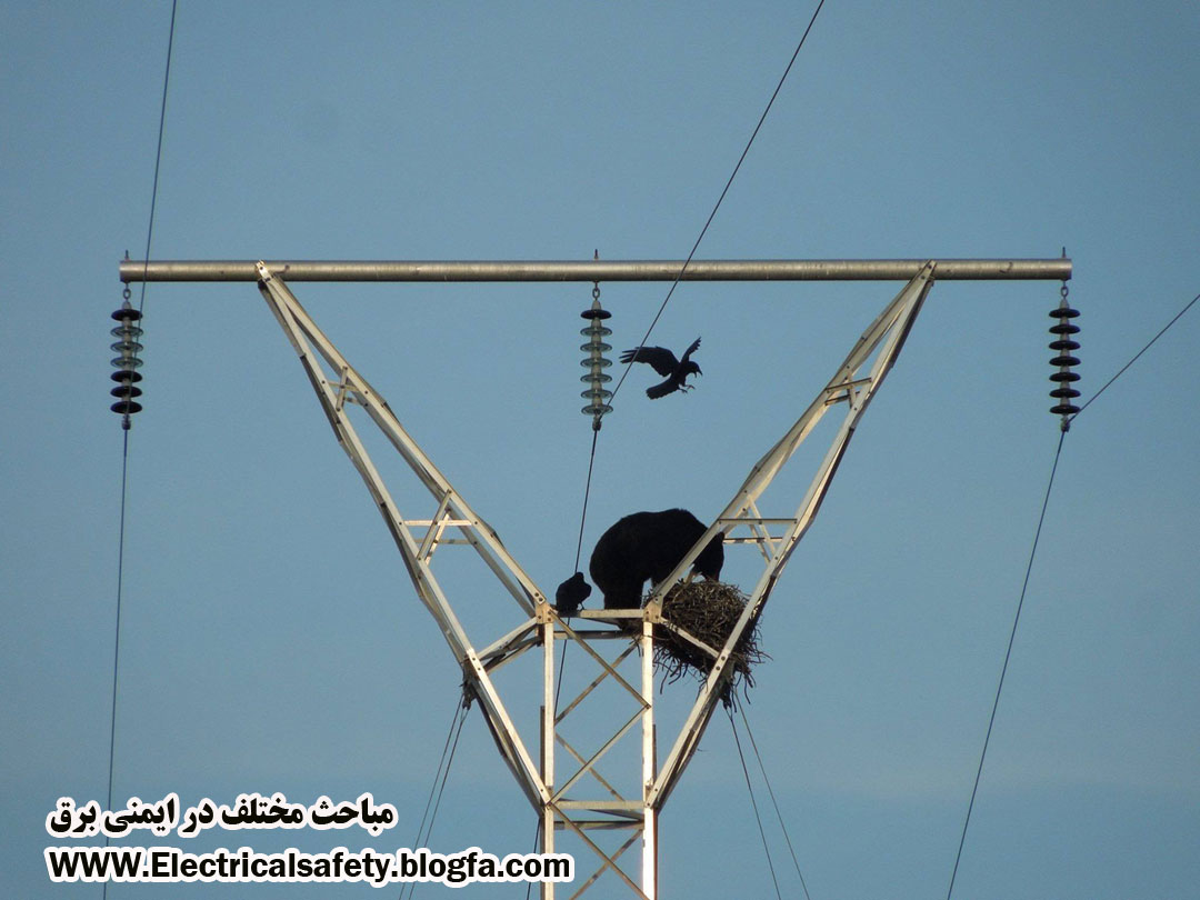 رضا نیک پیام، ایمنی برق ،Reza Nikpayam