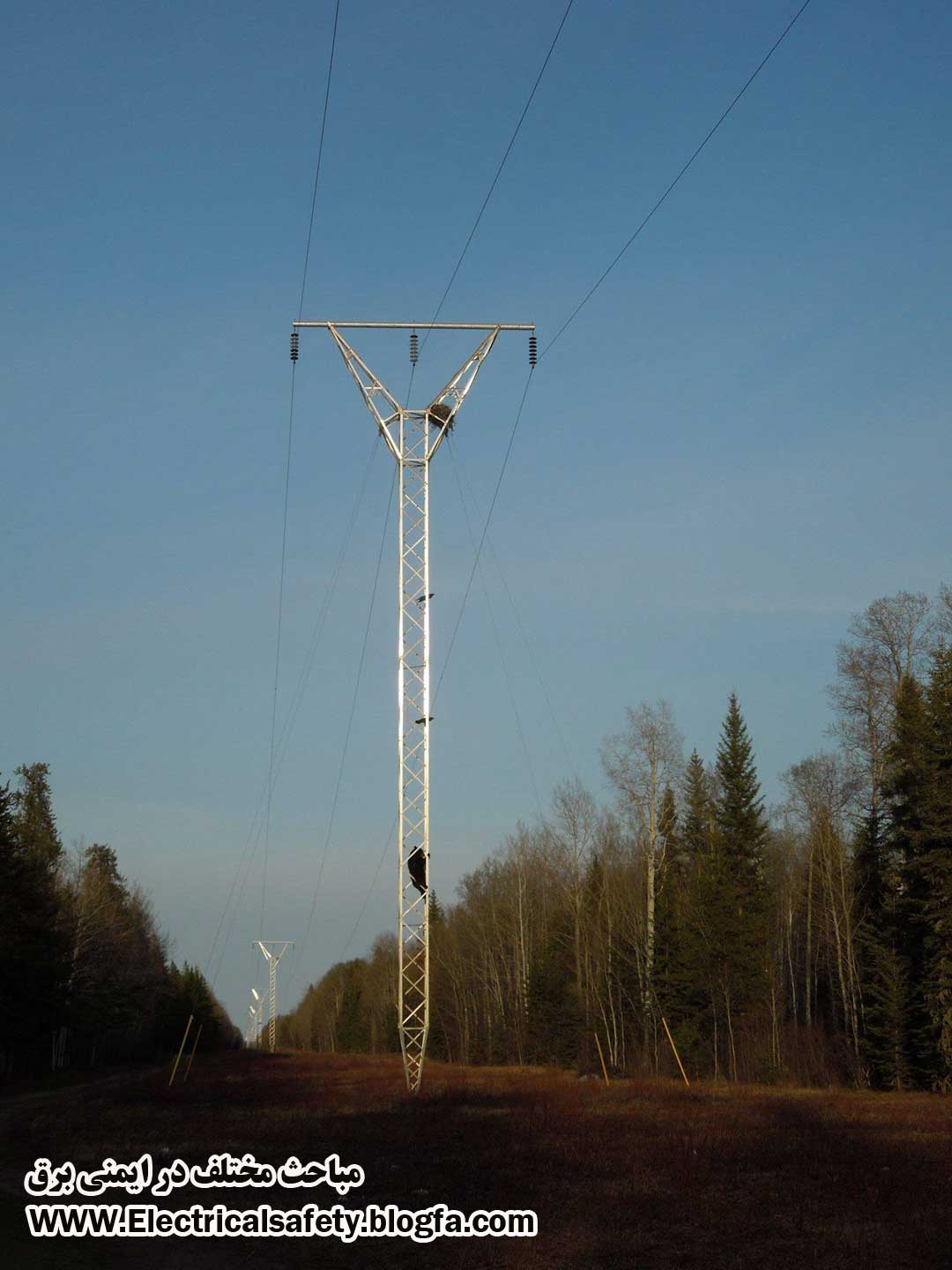 رضا نیک پیام، ایمنی برق ،Reza Nikpayam