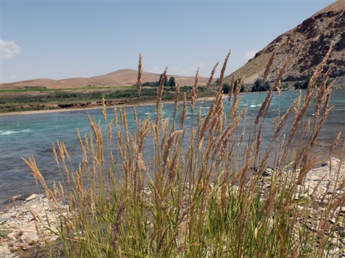 رود خانه زاینده رود روستای مشهد کاوه