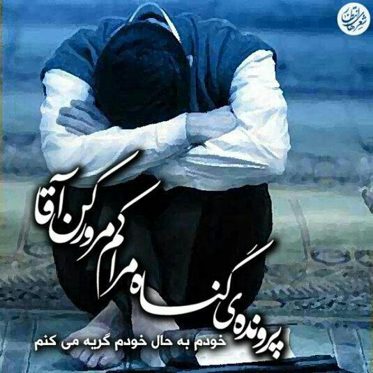 نیمه شعیان , میلاد حضرت مهدی