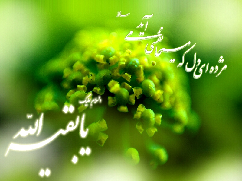 نیمه شعیان , میلاد حضرت مهدی