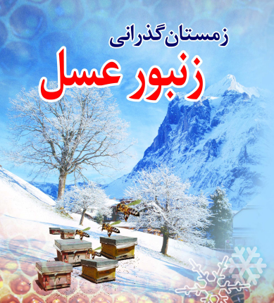 زمستان گذرانی زنبور عسل