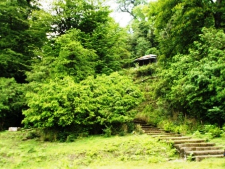 روستای تره تنگده طولگیلان