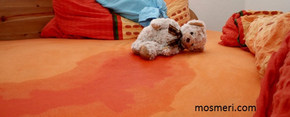 http://s6.picofile.com/file/8195477942/shab_edrari2.jpg