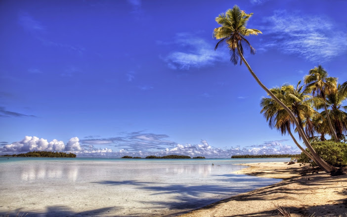 http://s6.picofile.com/file/8195844776/hd_wallpaper_19088.jpg