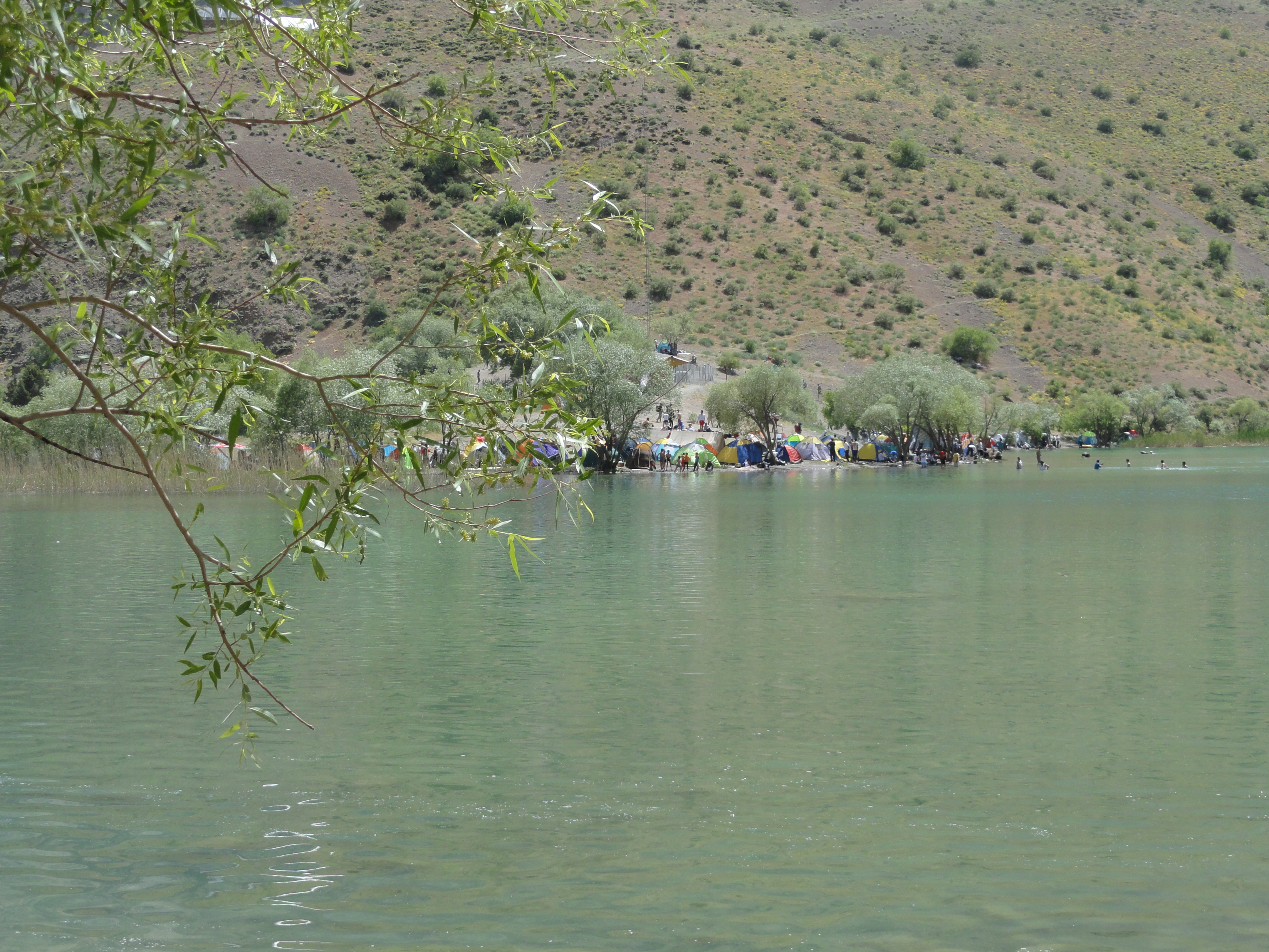 http://s6.picofile.com/file/8196378492/DSC05515.JPG