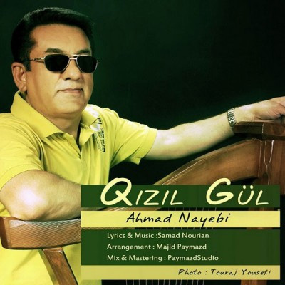 دانلود آهنگ جدید احمد نایبی بنام قیزیل گول