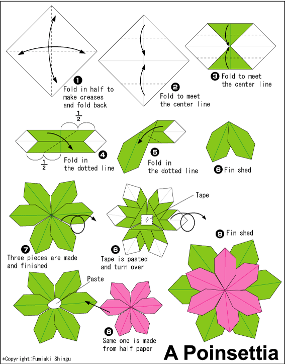 گل(Flower)