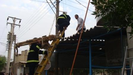 رضا نیک پیام، ایمنی برق، برق گرفتگی ،Reza Nikpayam