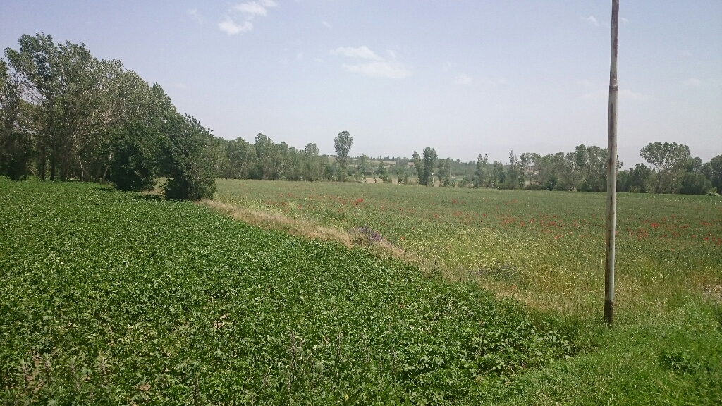 روستای شیره جین