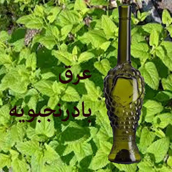 عرق بادرنجبویه