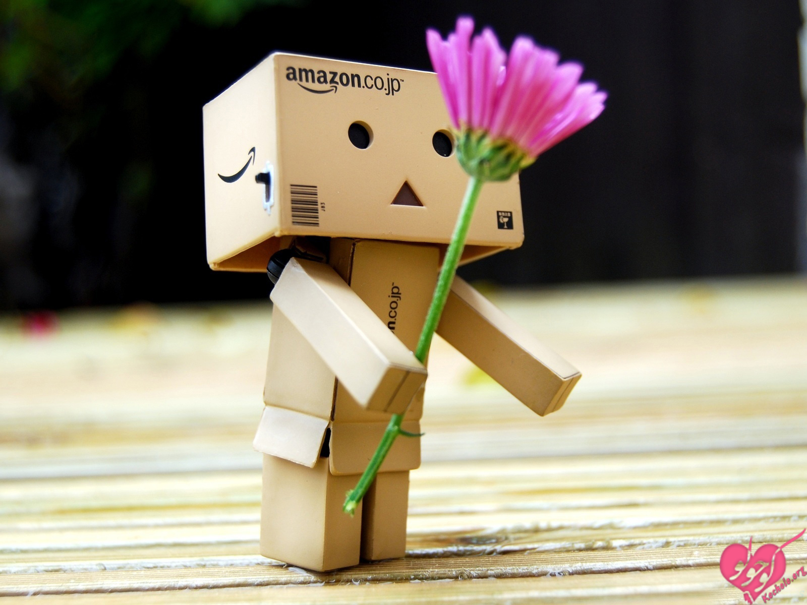 http://s6.picofile.com/file/8198463626/%D8%AE%D9%88%D8%B4_%D8%A7%D9%85%D8%AF%DB%8C%D8%AF.jpg