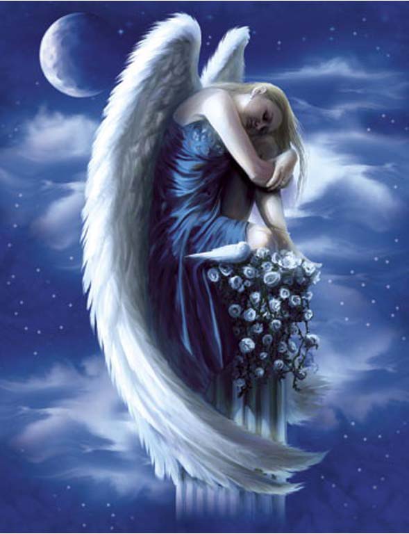 http://s6.picofile.com/file/8198546026/ROMANTIK_245_.jpg