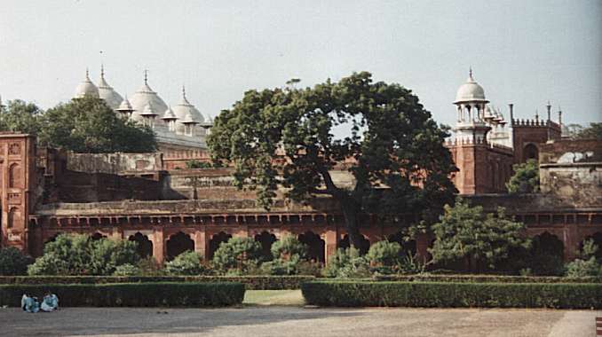 http://s6.picofile.com/file/8198955626/Agra_Red_Fort_view.jpg