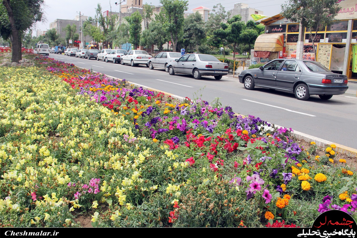 http://s6.picofile.com/file/8200444084/Photo_18_.jpg
