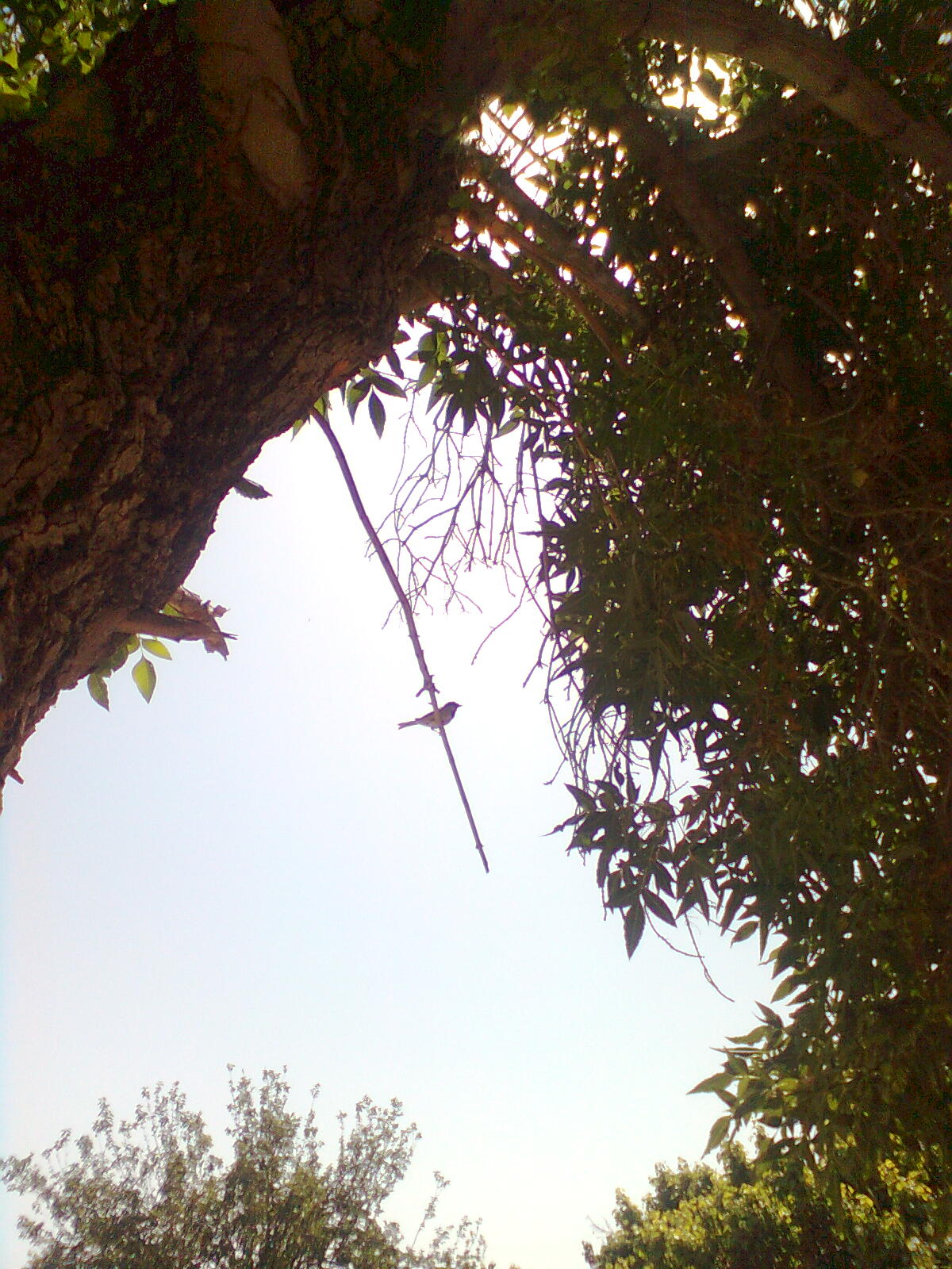 http://s6.picofile.com/file/8203083426/132.jpg
