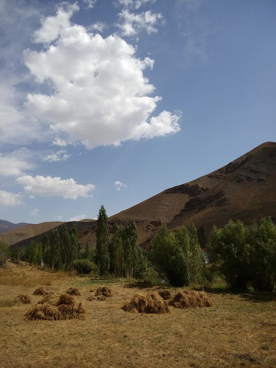 عکس4