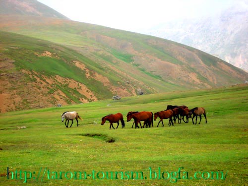 ییلاق آب بر