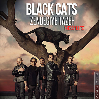 Black Cats - Zendegiye Tazeh