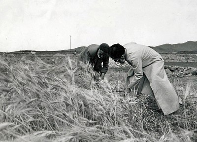 امام خامنه ای