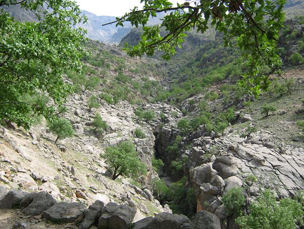 http://s6.picofile.com/file/8205908592/2124_2_2_4.JPG