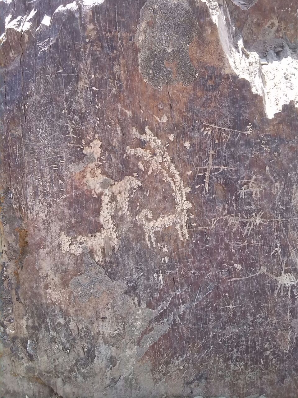 سنگ نگاره هایی که نشانه گنج نیستند