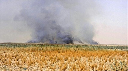 هورالعشیم در سال 1394